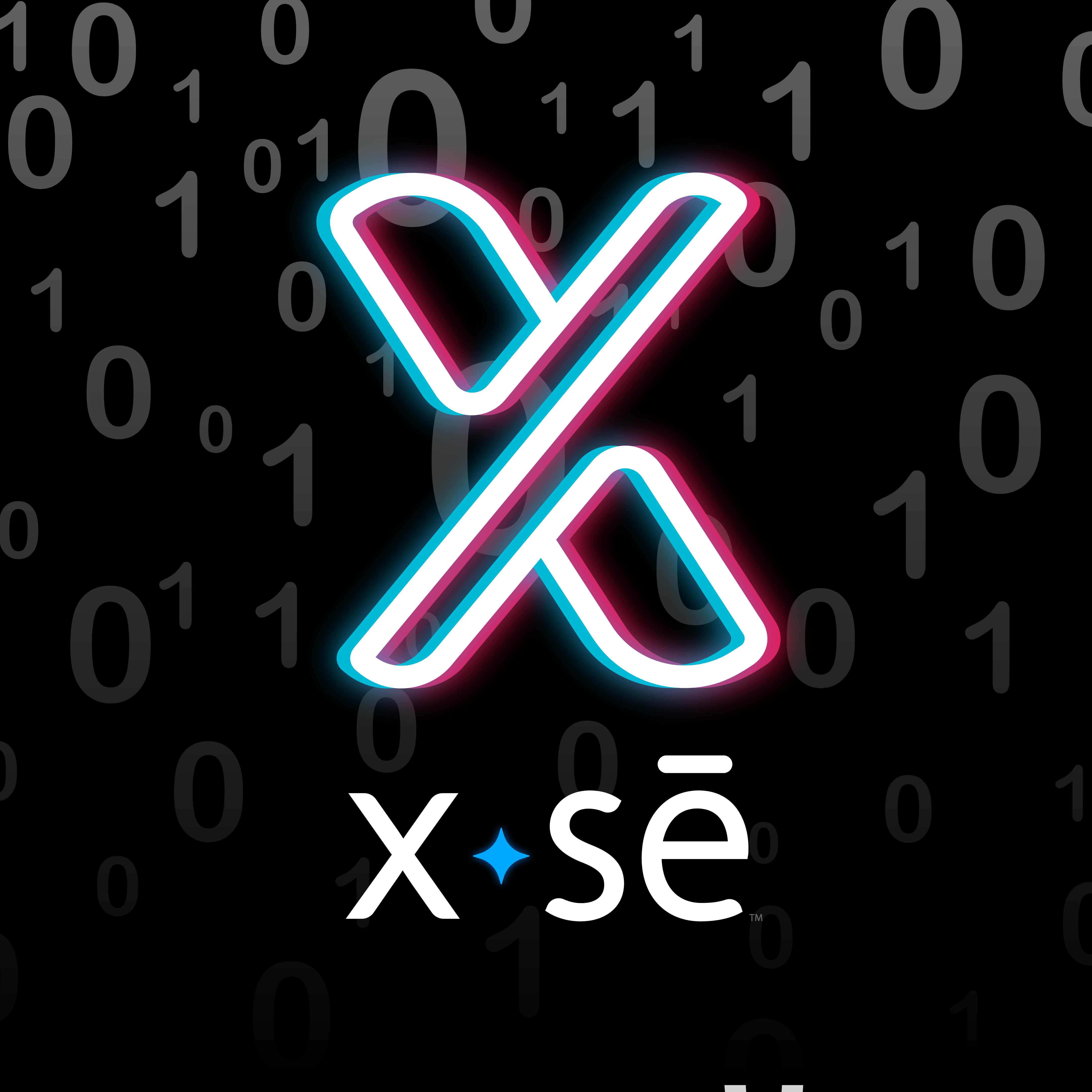 CIG Tools X-se Logo